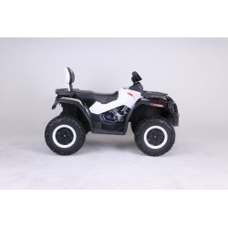 Voitures électriques pour enfants batterie 6v 12v 24v 36v télécommande pass cheer Quad Ataa Hunter 24V Voitures électriques pour enfants batterie 6v 12v 24v 36v télécommande pass cheer Quad Ataa Hunter 24V